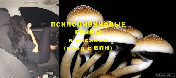 крисы Алексин