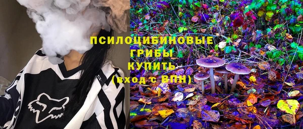 крисы Алексин