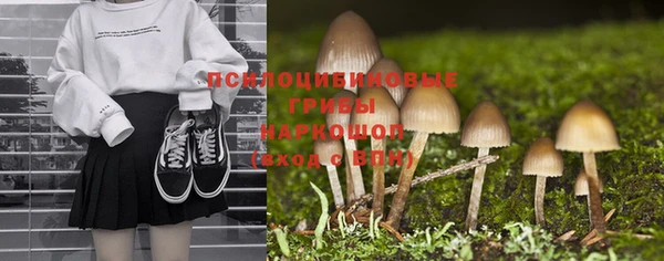 крисы Алексин